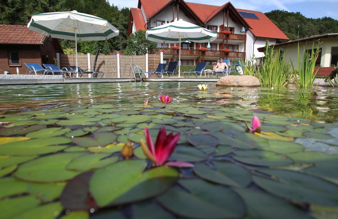 Hotel & Gasthof Zur Linde Kipfenberg Ngoại thất bức ảnh